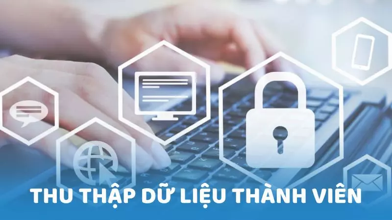 Chính sách quyền riêng tư thu thập dữ liệu thành viên