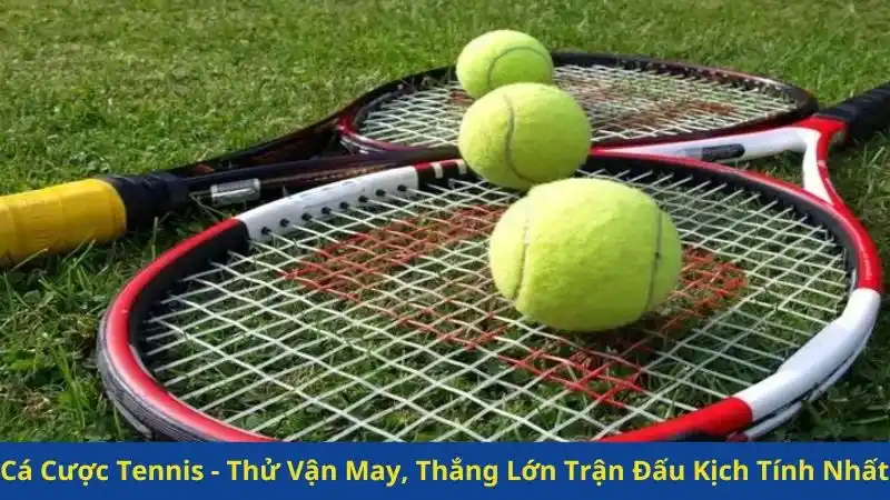 Cá Cược Tennis - Thử Vận May, Thắng Lớn Trận Đấu Kịch Tính