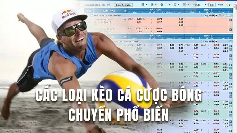 Khám phá các loại kèo phổ biến kèo cược bóng chuyền