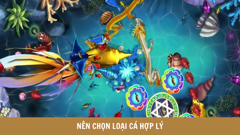 Nên chọn loại cá hợp lý