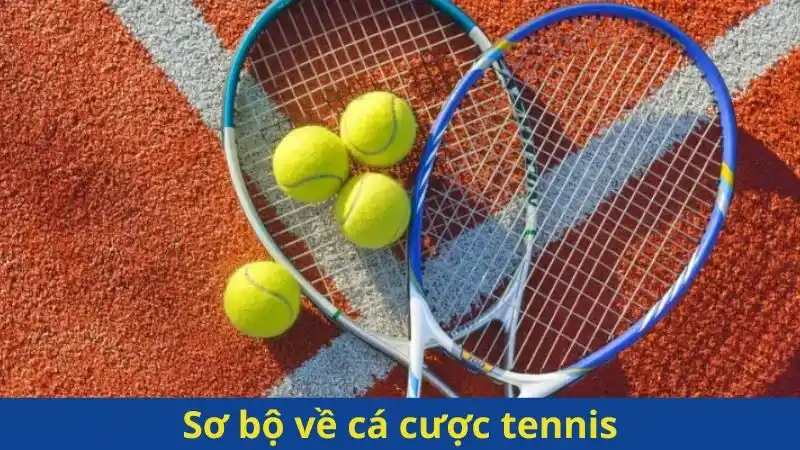 Sơ bộ về cá cược tennis