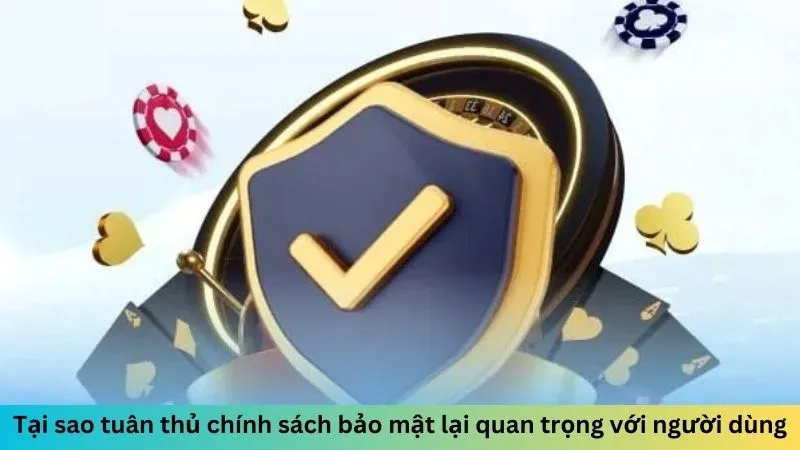 Tại sao tuân thủ chính sách bảo mật lại quan trọng với người dùng