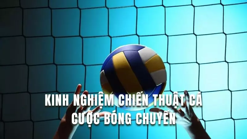 Tìm hiểu kinh nghiệm chiến lược chơi cá cược bóng chuyền